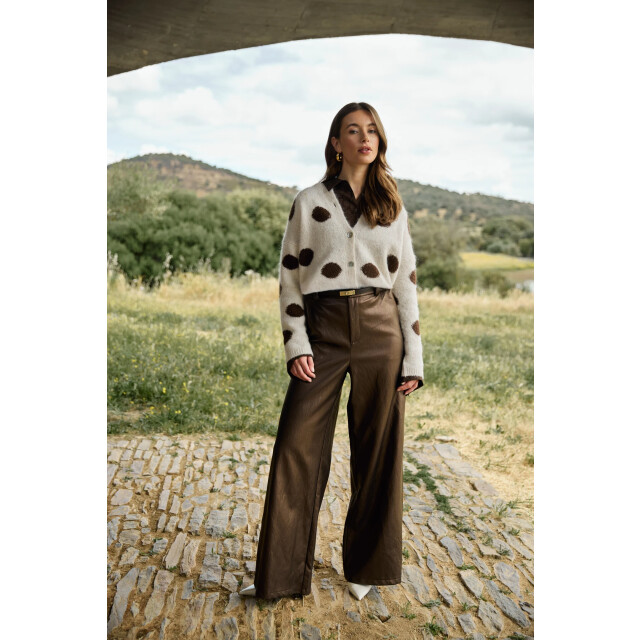 Nukus Nkf05031 388 laure cardigan dots offwhite/chocolate NKF05031 388 large