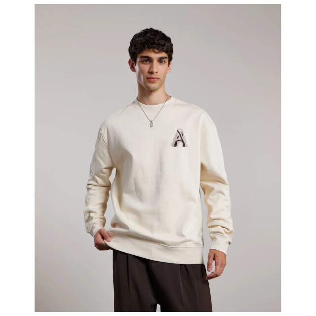 Aeden Runey sweater ganache A22243314-115 large