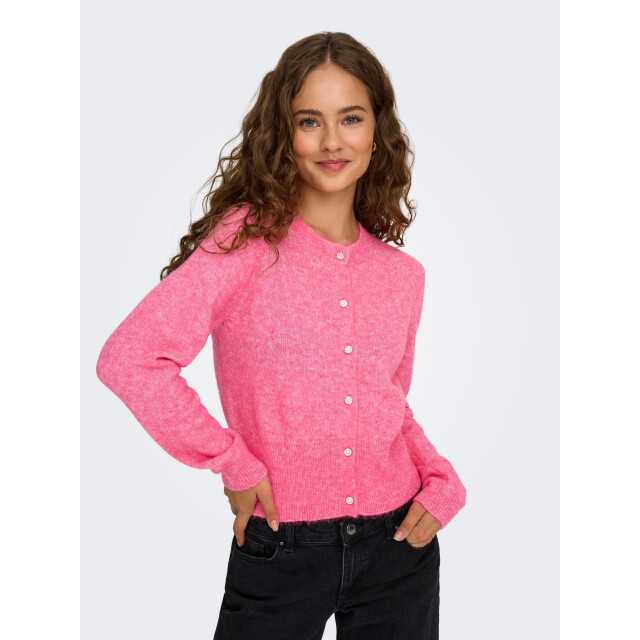 Only 15358548 havanna 4249.60.0001 large