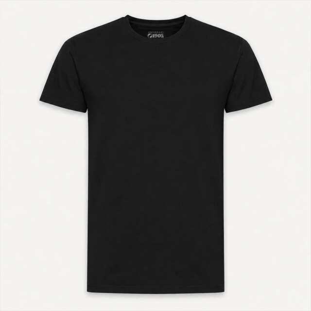 Q1905 T-shirt 2-pack oolde / QM2663644-199-1 large