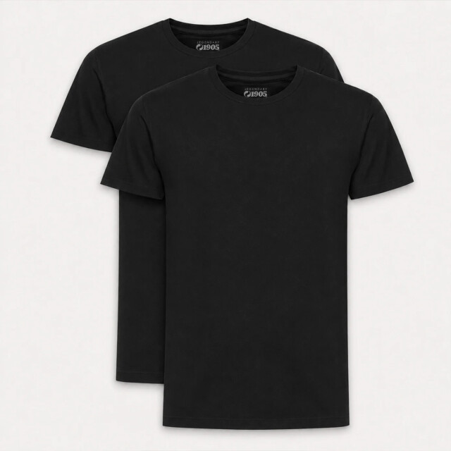 Q1905 T-shirt 2-pack oolde / QM2663644-199-1 large
