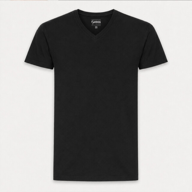 Q1905 T-shirt 2-pack steyl / QM2663772-199-1 large