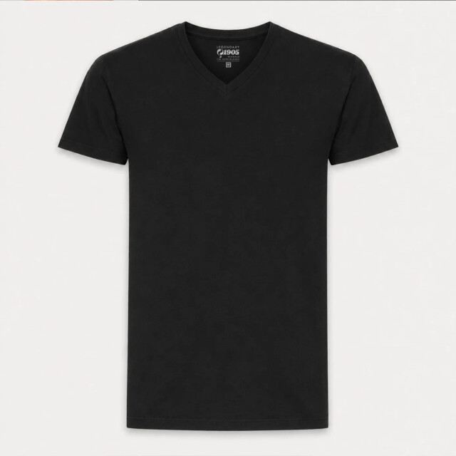 Q1905 T-shirt 2-pack steyl / QM2663772-199-1 large