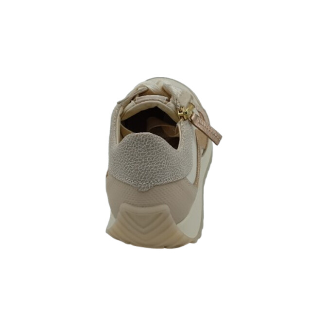 DL Sport 6988 vers 01 021034 large