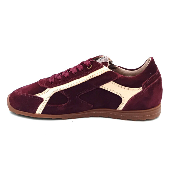 DL Sport 7162 vers 03 021184 large