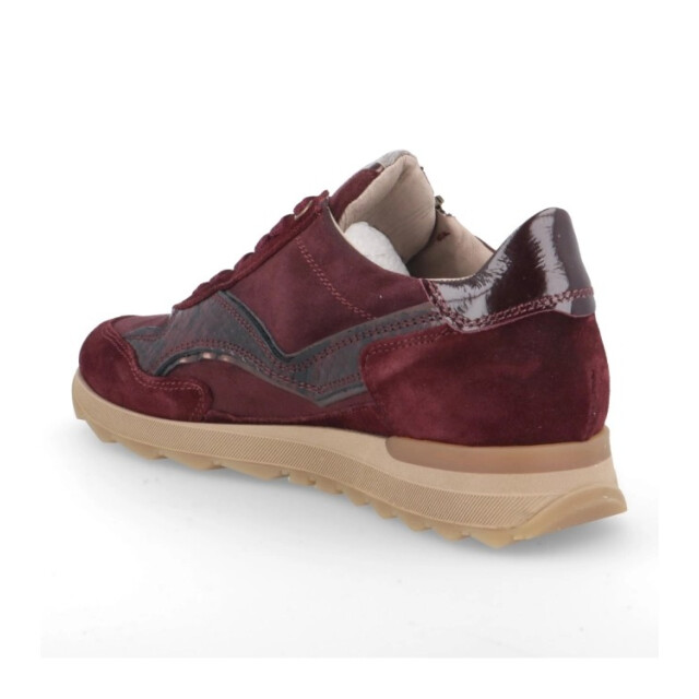 DL Sport 7140 vers 04 021246 large