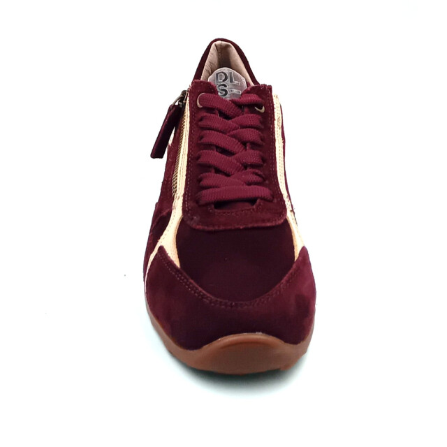 DL Sport 7162 vers 03 021184 large