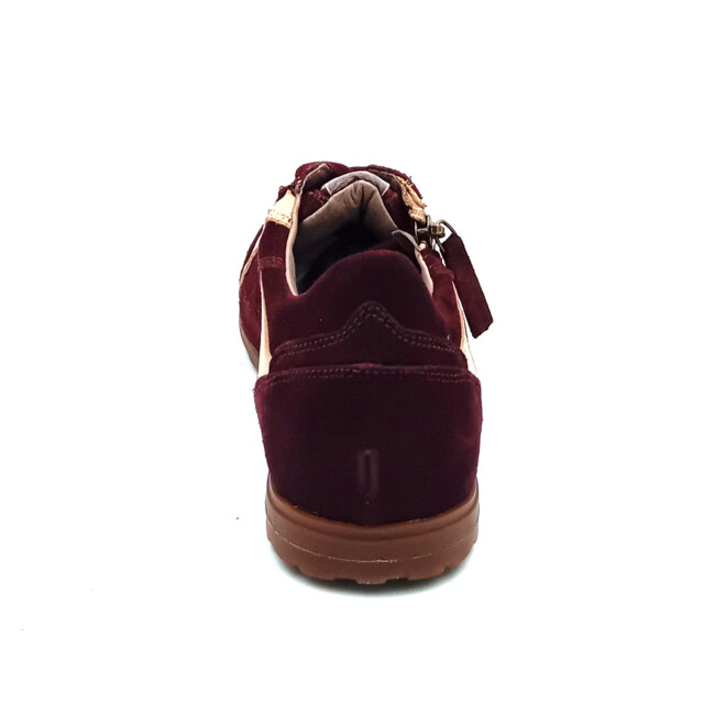 DL Sport 7162 vers 03 021184 large