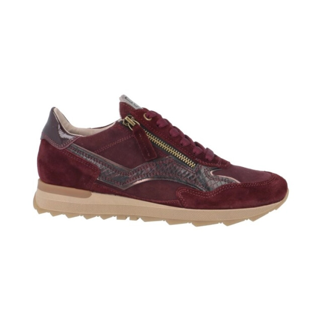 DL Sport 7140 vers 04 021246 large