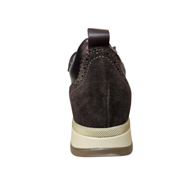 DL Sport 7116 vers 02 021247 large