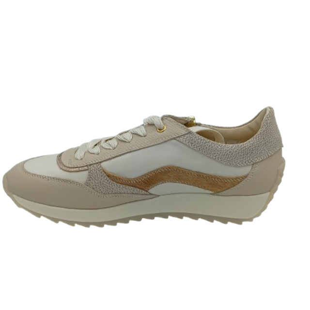 DL Sport 6988 vers 01 021034 large