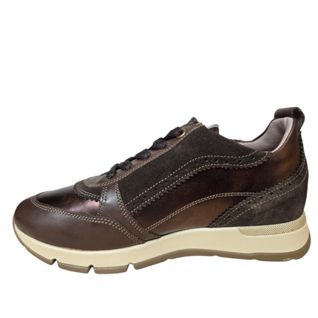 DL Sport 7116 vers 02 021247 large