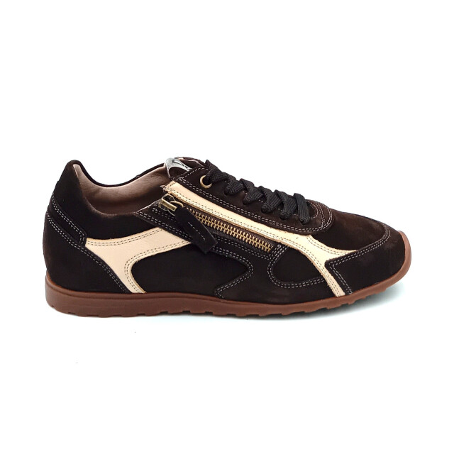 DL Sport 7162 vers 0d 021183 large