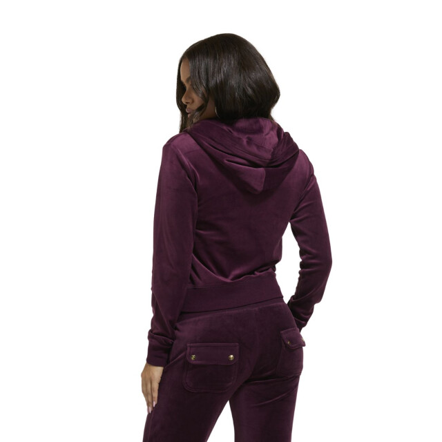 Juicy Couture Robertson hoodie gold JCAP176G large