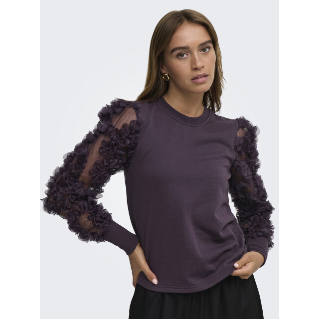 Jacqueline de Yong fairview life l/s sweat jrs noo 15220558 plum perfect 06721.770.0018 large