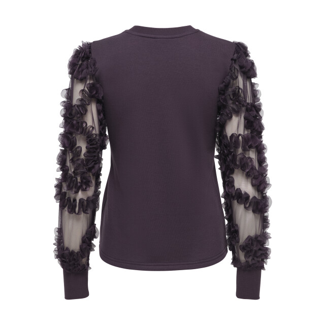 Jacqueline de Yong fairview life l/s sweat jrs noo 15220558 plum perfect 06721.770.0018 large