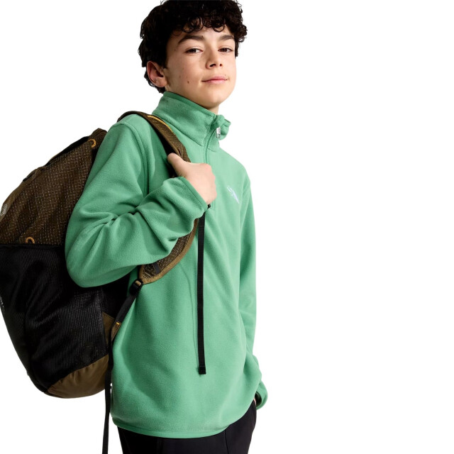The North Face Skipully junior NF0A8CVG large