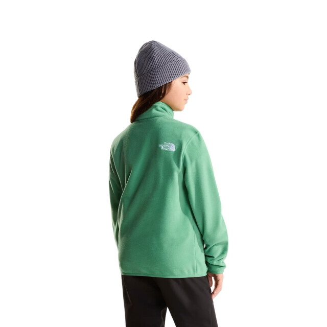 The North Face Skipully junior NF0A8CVG large
