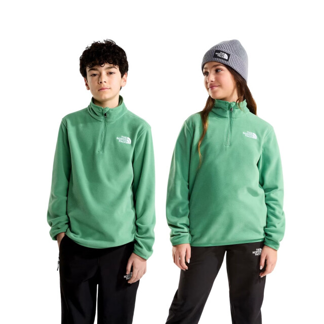 The North Face Skipully junior NF0A8CVG large