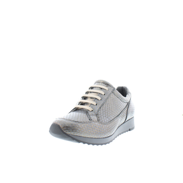 JJ Footwear 508 accel h 1508003 145/027 large