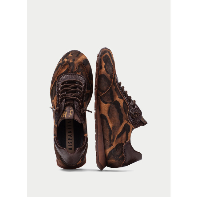 Hispanitas Hi265187 021146 large