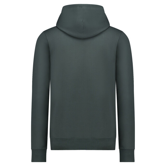 Cars 6089744 TYLO SW Hood Moss large
