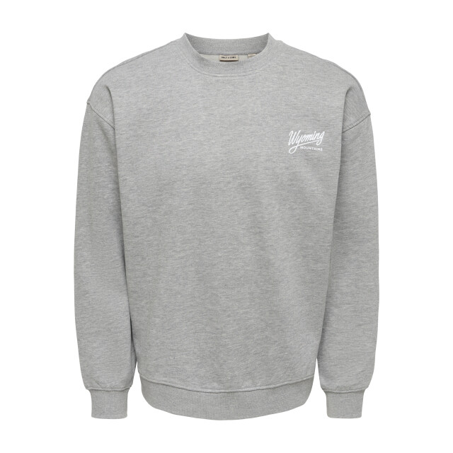 Only & Sons Only & sons onsbejmo sweatshirt 22040038 large