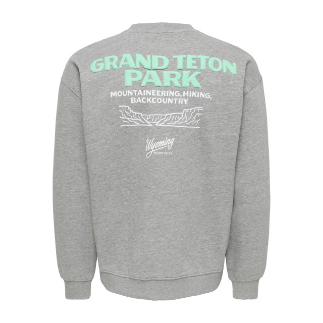 Only & Sons Only & sons onsbejmo sweatshirt 22040038 large