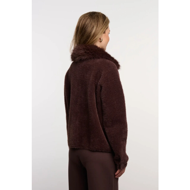 Rino & Pelle Nia.5002613 rino en pelle jacket with detachable collar coffee roast Nia.5002613 Coffee roast large
