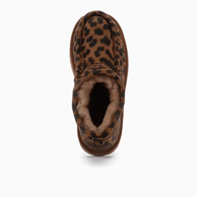 Warmbat Barunga brg 3212 23 panther chestnut 4023 BRG 3212 23 large