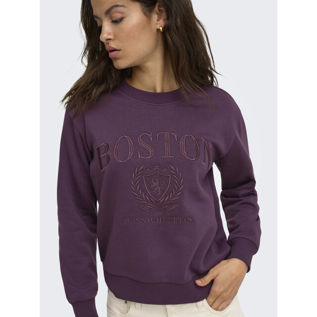 Jacqueline de Yong Jacqueline de yong jdyparis sweatshirt 15221015 large