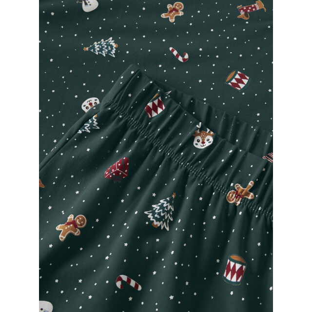 Name It Dames/heren kerst pyjama set lang nanvismas groen 13234978-Botanical Garden large