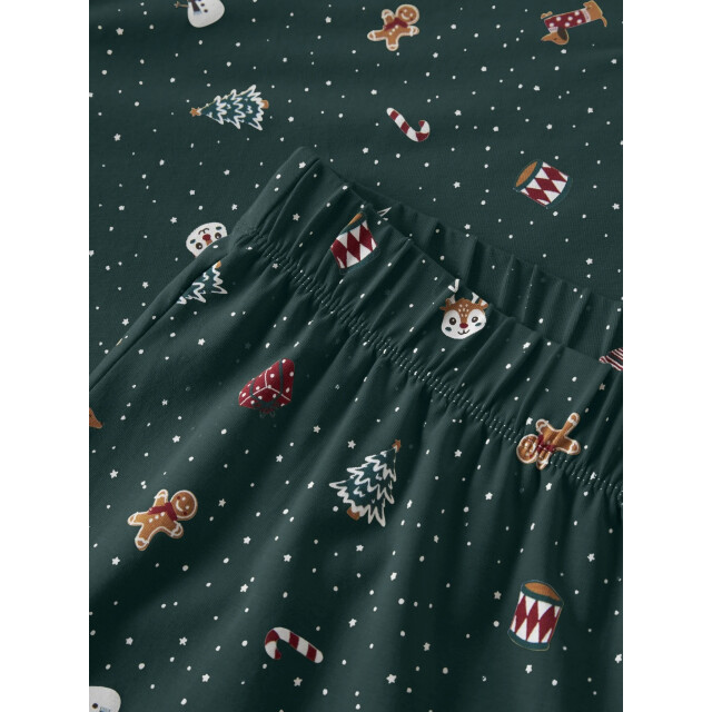 Name It Dames/heren kerst pyjama set lang nanvismas groen 13234978-Botanical Garden large