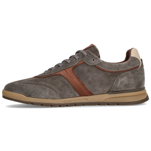 Berkelmans Junin 021275 large