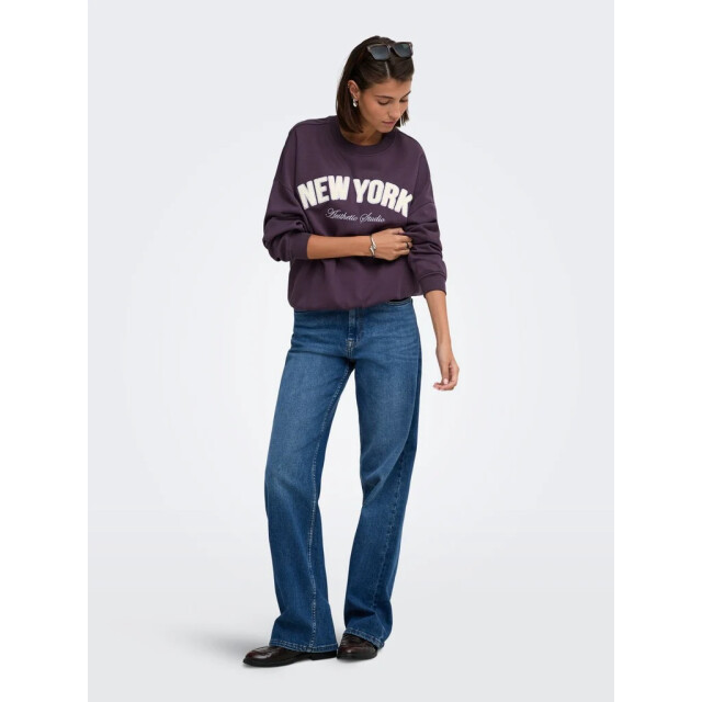 Jacqueline de Yong Mesa l/s o-nk emb sweat 15370526 large