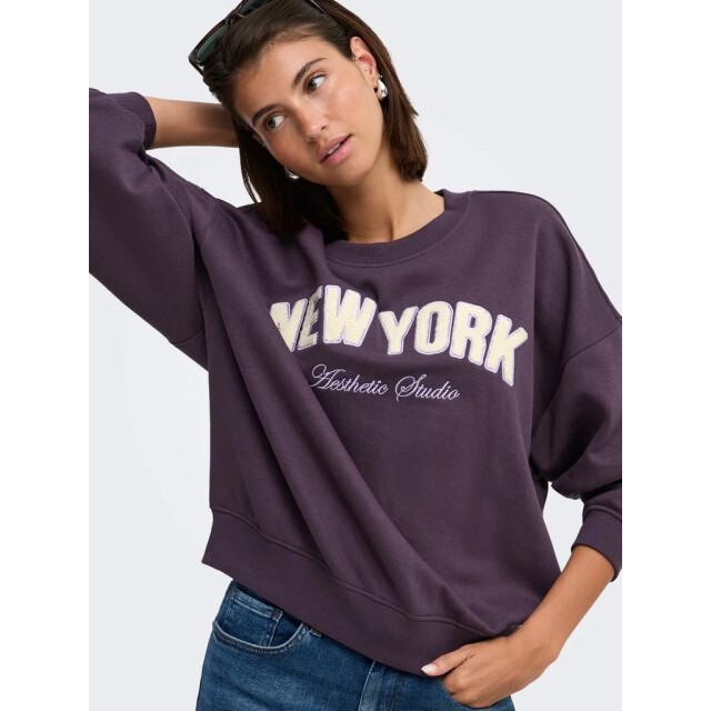 Jacqueline de Yong Mesa l/s o-nk emb sweat 15370526 large