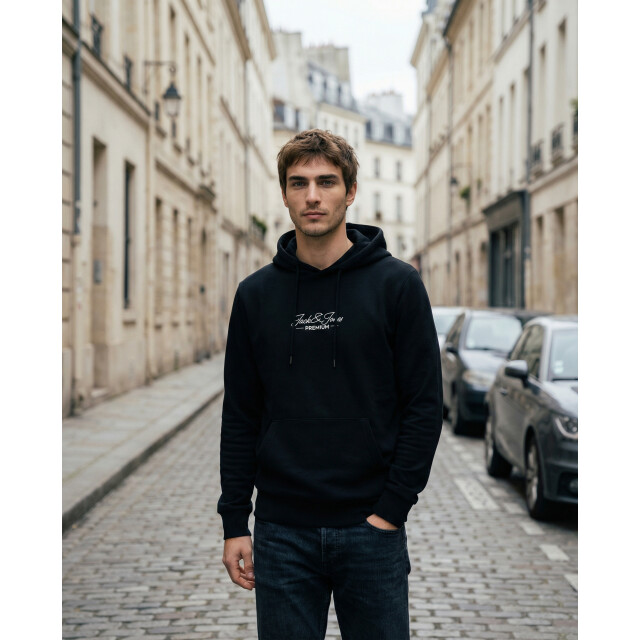 Jack & Jones Jprblalucas sweat hood fst 12312266 large