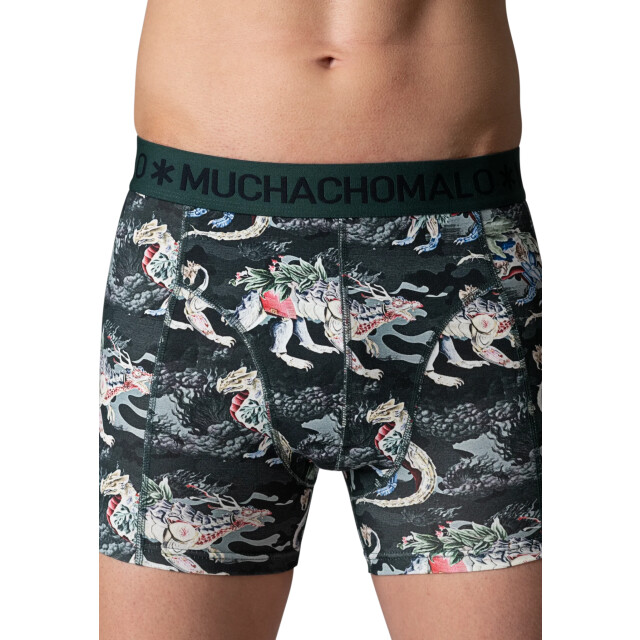 Muchachomalo Heren 3-pack boxershorts HIDDENDRAGONS1010-01 large