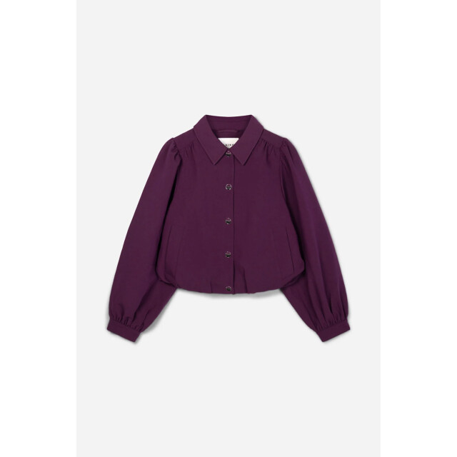 Aaiko rpes 345 sandy 192514 italian plum 06615.770.0077 large