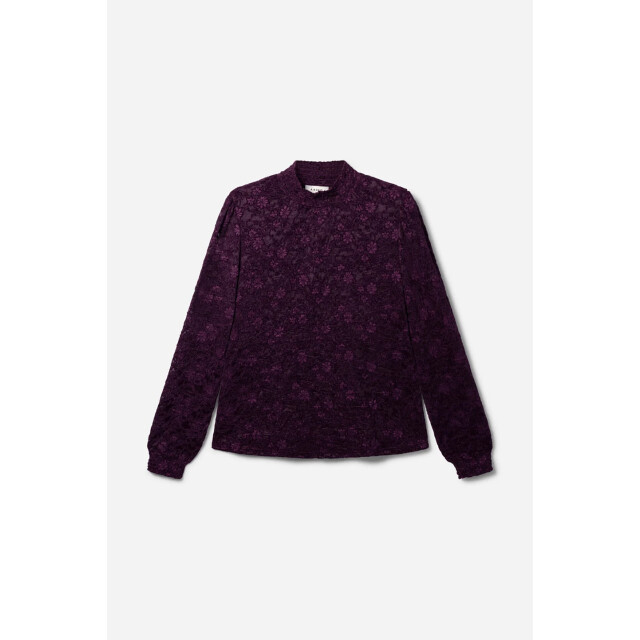 Aaiko pes 199 tory lace 192514 italian plum 06012.770.0012 large