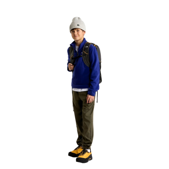 The North Face Skipully junior NF0A8CVG large