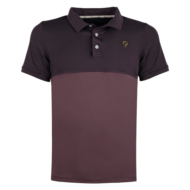 Q1905 Q polo shirt antwerpen night shade/vintage violet QMR-2004-1315 large