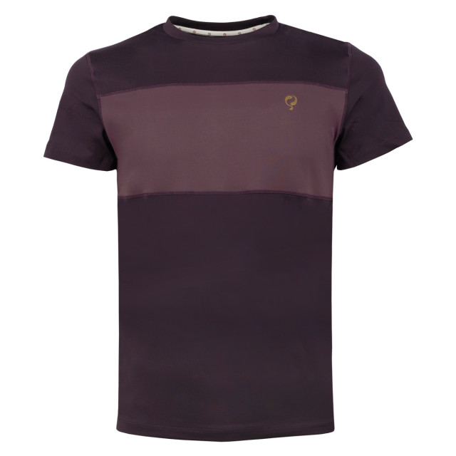 Q1905 Q tee rosmalen night shade/vintage violet QMR-2005-1315 large