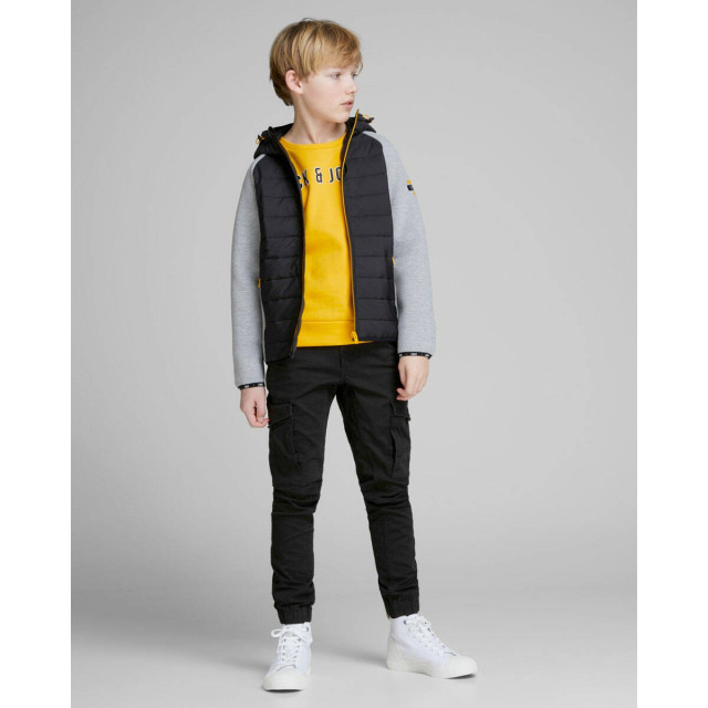 Jack & Jones Broek 12151646 jpstpaul Jack & Jones Junior Broek 12151646 JPSTPAUL large