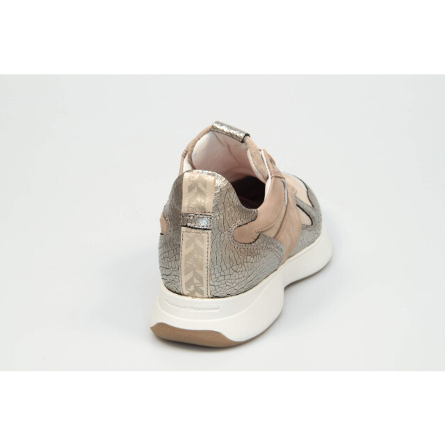 Floris van Bommel   Beige Savvi 01.04 large