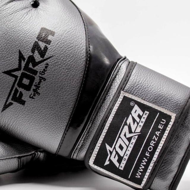 Forza articial boxing gloves antique silver - 051309_930-6 OZ large