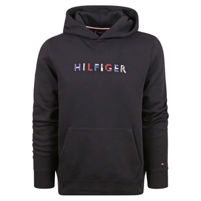 Tommy Hilfiger Hoodie 32014 desert sky 32014 - Desert Sky large