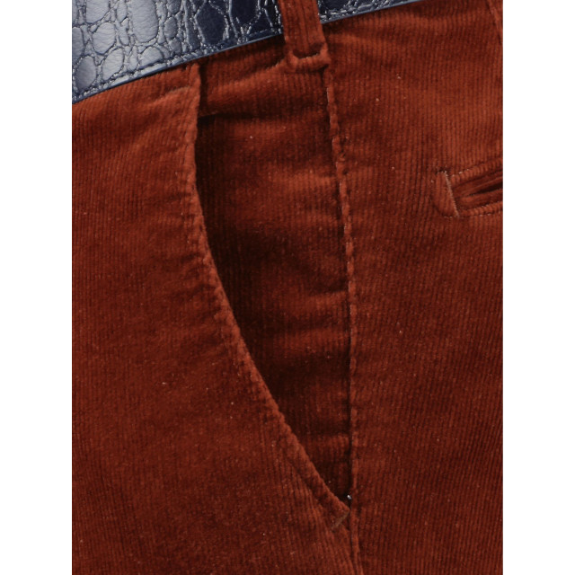 F043 Ribbroek corduroy 2060.1.11.193/546 169857 large