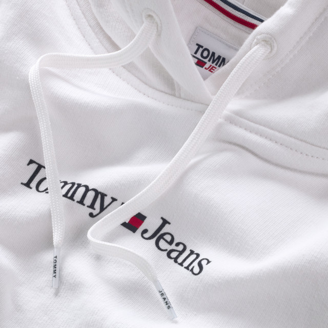 Tommy Hilfiger Reg serif linear hoodie DW0DW15649-YBR-M large