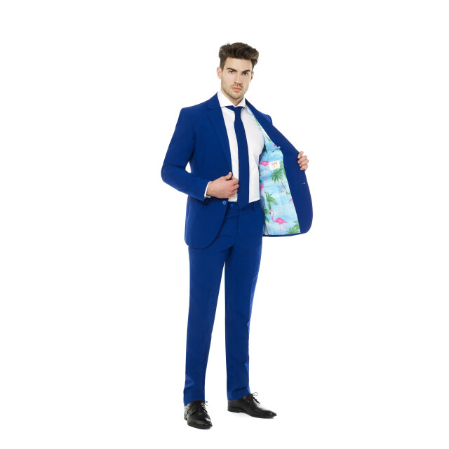 OppoSuits Royale flaminguy lining OSUI-0088 large